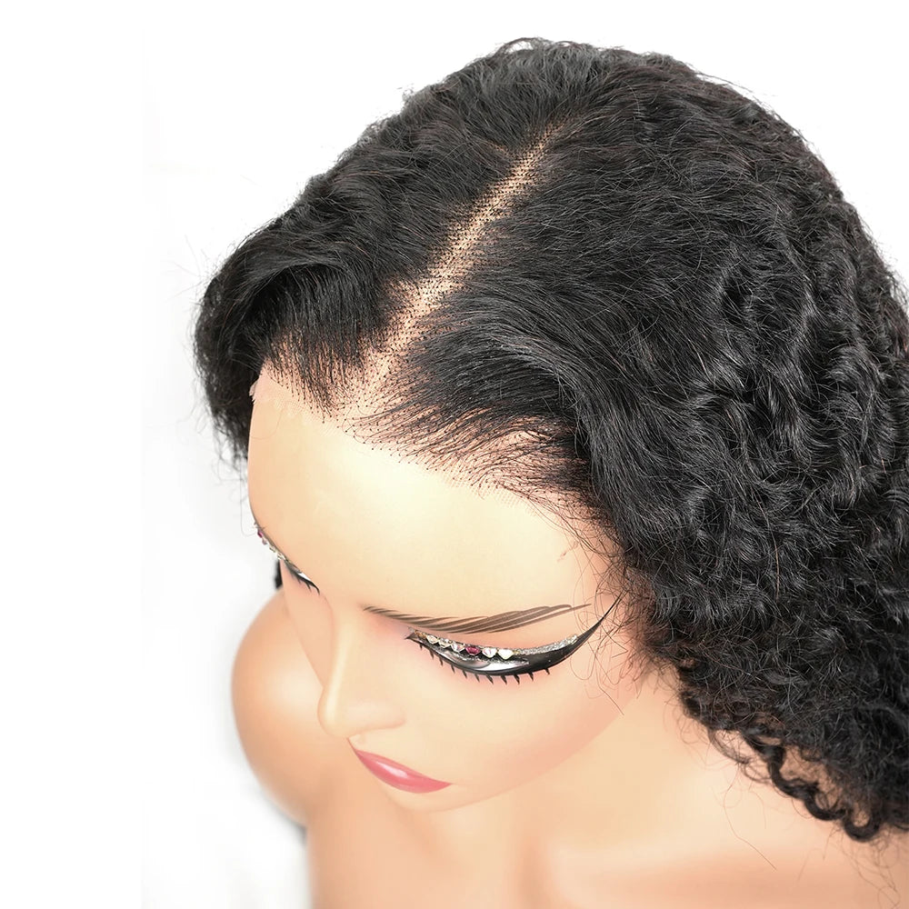Burmese Curly Human Hair Wig Pre Plucked Glueless